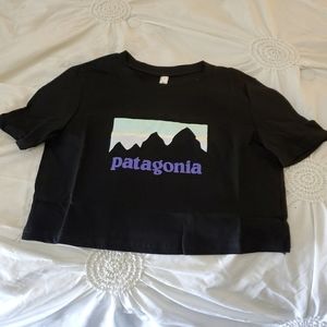 Patagonia crop top